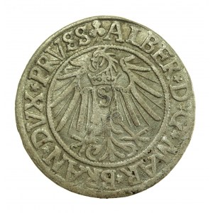 Knížecí Prusko, Albrecht Hohenzollern, Grosz 1541, Königsberg (708)