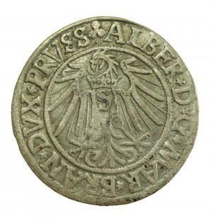 Ducal Prussia, Albrecht Hohenzollern, 1541 penny, Königsberg (708)