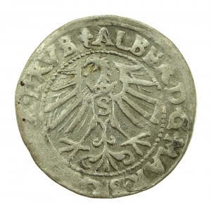 Ducal Prussia, Albrecht Hohenzollern, 1547 penny, Königsberg - PRVS (709)
