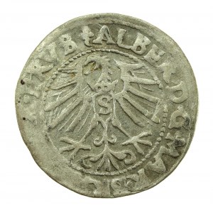 Ducal Prussia, Albrecht Hohenzollern, 1547 penny, Königsberg - PRVS (709)