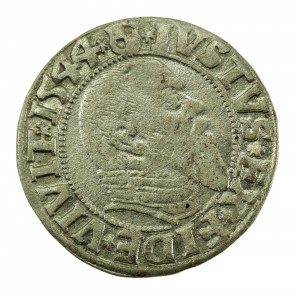 Ducal Prussia, Albrecht Hohenzollern, 1544 penny, Königsberg (710)