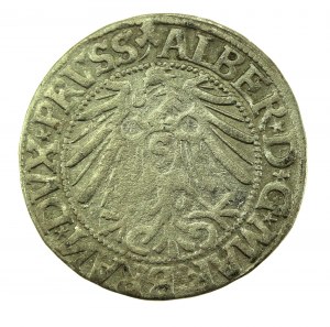 Ducal Prussia, Albrecht Hohenzollern, 1544 penny, Königsberg (710)