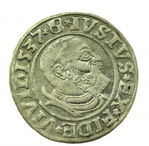 Ducal Prussia, Albrecht Hohenzollern, 1537 penny, Königsberg - PRVSS (712)