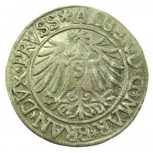 Knížecí Prusko, Albrecht Hohenzollern, Grosz 1537, Königsberg - PRVSS (712)