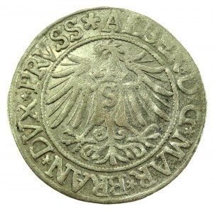 Prusy Książęce, Albrecht Hohenzollern, Grosz 1537, Królewiec - PRVSS (712)