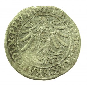 Ducal Prussia, Albrecht Hohenzollern, penny 1532, Königsberg - PRVSS (713)