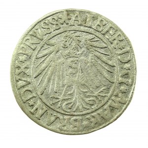 Ducal Prussia, Albrecht Hohenzollern, 1540 penny, Königsberg (714)
