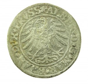 Prusy Książęce, Albrecht Hohenzollern, Grosz 1531, Królewiec - PRVSS (715)