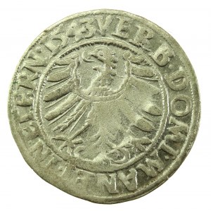 Silesia, Frederick II, 1543 penny, Legnica (716)