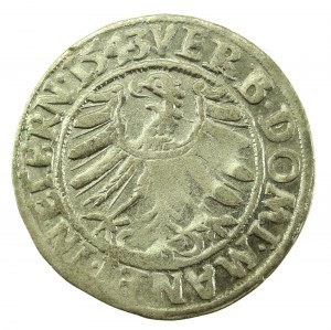 Slezsko, Fridrich II, Penny 1543, Legnica (716)