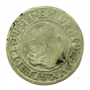 Silesia, Frederick II, 1543 penny, Legnica (717)