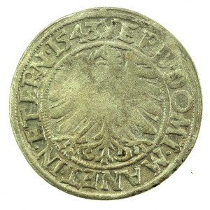 Schlesien, Friedrich II., Pfennig 1543, Legnica (717)