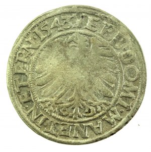 Schlesien, Friedrich II., Pfennig 1543, Legnica (717)