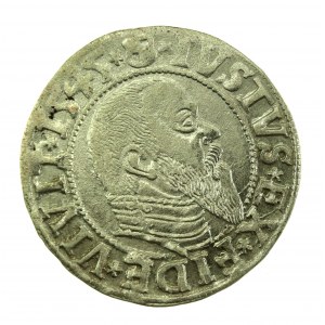 Kniežacie Prusko, Albrecht Hohenzollern, Penny 1545, Königsberg - obrátený N (718)