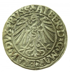Knížecí Prusko, Albrecht Hohenzollern, Penny 1545, Königsberg - obrácené N (718)