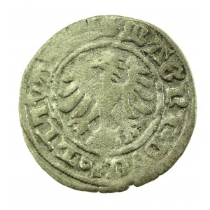 Alexander Jagiellonian, half-penny, Vilnius-Gothic (719)