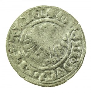 Alexander Jagiellonian, half-penny, Vilnius-Gothic (720)