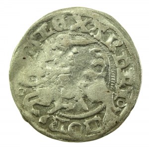 Alexander Jagiellonian, half-penny, Vilnius-Gothic (721)