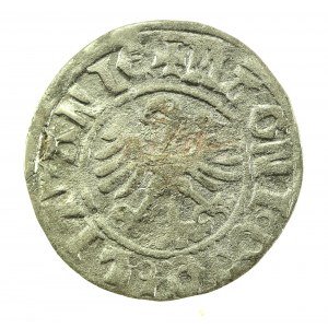 Alessandro Jagellone, mezzo penny, Vilnius - Rinascimento (722)