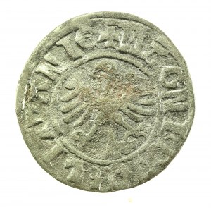 Alessandro Jagellone, mezzo penny, Vilnius - Rinascimento (722)