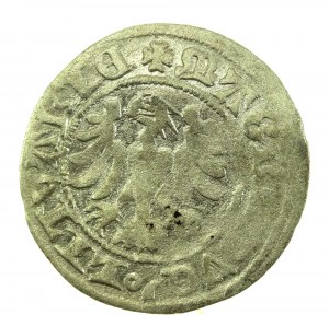 Alexander Jagiellonian, half-penny, Vilnius-Gothic (723)