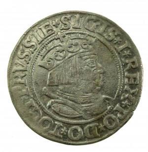 Sigismund I. der Alte, Pfennig 1534, Torun - PRUSSIE/PRUSSIE (731)