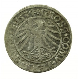 Zikmund I. Starý, penny 1534, Toruň - PRUSSIE/PRUSSIE (731)