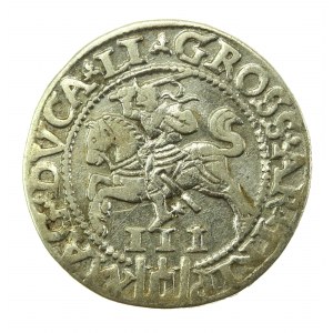 Žigmund II August, Trojak 1562, Vilnius L/LI (734)