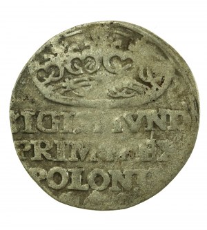 Zikmund I. Starý, penny 1529, Krakov (735)