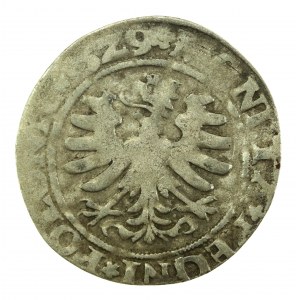 Žigmund I. Starý, penny 1529, Krakov (735)