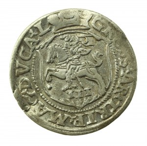Žigmund II August, Trojak 1564, Vilnius LI/L (737)