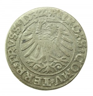 Žigmund I. Starý, groš 1532, Toruň PRVS/PRVSS (738)