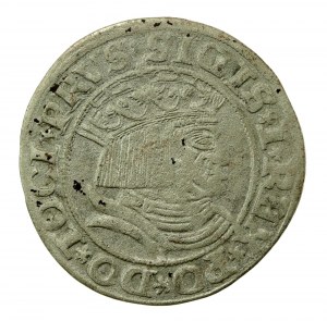 Žigmund I. Starý, groš 1531, Toruň - PRVS/PRVSS (739)