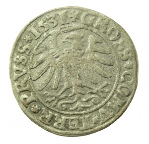 Sigismund I. der Alte, Pfennig 1531, Toruń - PRVS/PRVSS (739)