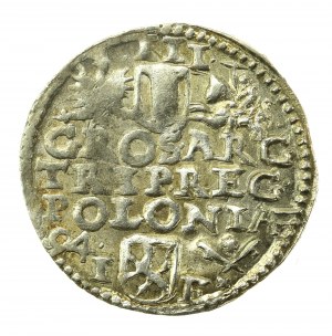 Sigismond III Vasa, Trojak 1594, Poznań (741)