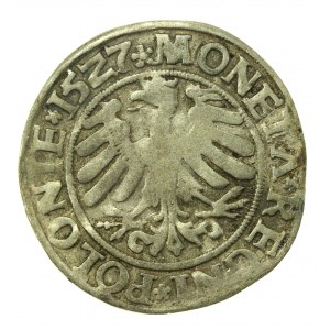 Zikmund I. Starý, penny 1527, Krakov (743)
