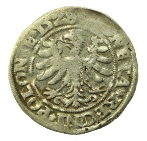 Zikmund I. Starý, penny 1528, Krakov (744)
