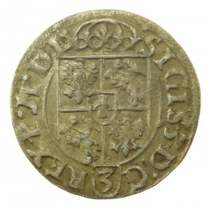 Sigismund III Vasa, Half-track 1619, Bydgoszcz (757)