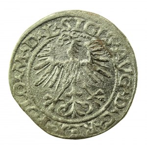 Sigismond II Auguste, demi-penny 1563, Vilnius - L/LITVA (766)