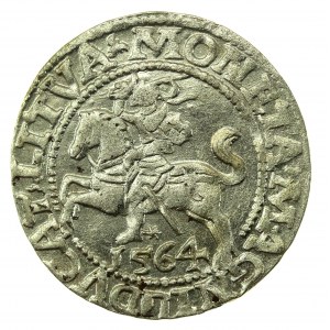 Sigismund II Augustus, Halbpfennig 1564, Wilna - L/LITVA (767)