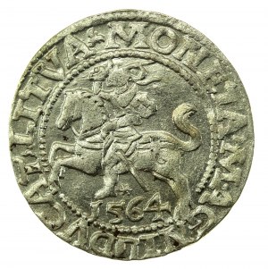 Sigismondo II Augusto, mezzo penny 1564, Vilnius - L/LITVA (767)