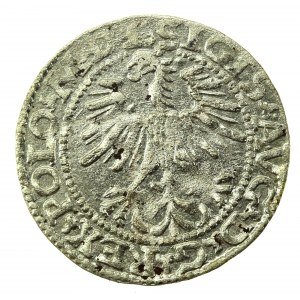 Zygmunt II August, Półgrosz 1564, Wilno - L/LITVA (767)