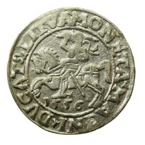 Sigismondo II Augusto, mezzo penny 1556 Vilnius, LI / LITVA (768)