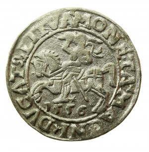 Zikmund II August, půlpenny 1556 Vilnius, LI / LITVA (768)