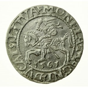 Sigismund II Augustus, Half-penny 1561, Vilnius - L/LITVA (769)