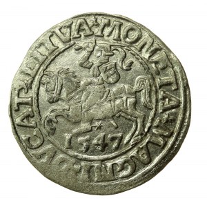 Sigismond II Auguste, demi-penny 1547, Vilnius - LI/LITVA (770)
