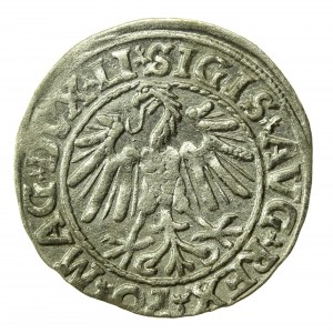 Sigismund II Augustus, Halbpfennig 1547, Wilna - LI/LITVA (770)