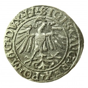Sigismund II Augustus, Halbpfennig 1548, Wilna - LI/LITVA (771)