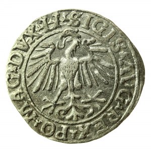 Sigismond II Auguste, demi-penny 1548, Vilnius - LI/LITVA (771)