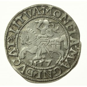 Sigismund II Augustus, Half-penny 1557, Vilnius, LI / LITVA (772)